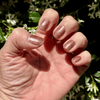 Bohemian - Classic Nail Powder