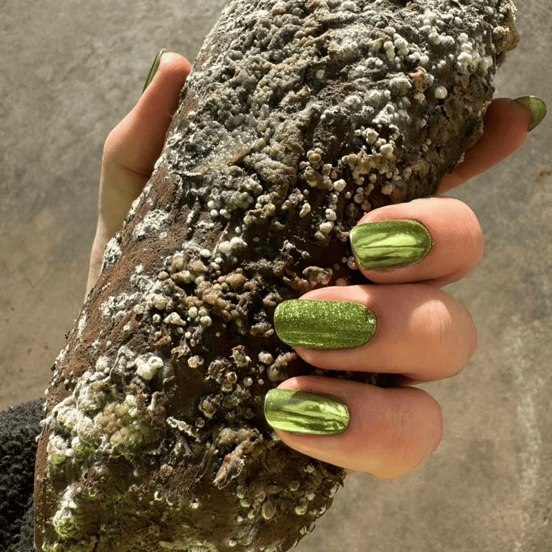 Olive - Metallic Nail Powder