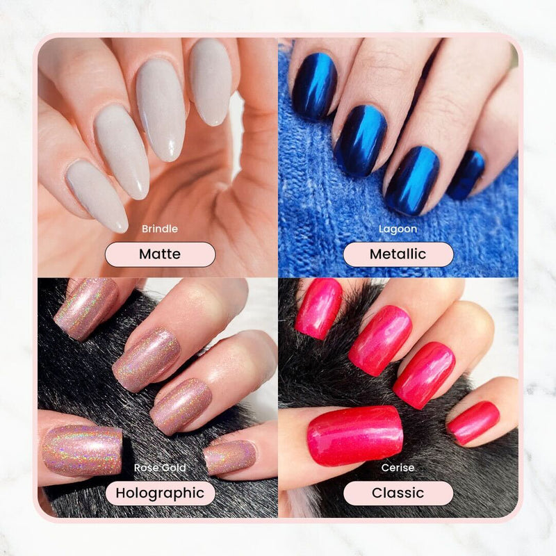 6-teiliges Pulverpaket + KOSTENLOSER DUAL-APPLIKATOR