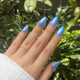 Skyrose - Classic Nail Powder