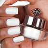 Monochrome Bestsellers Trio + FREE APPLICATOR