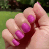 Hibiscus - Metallic